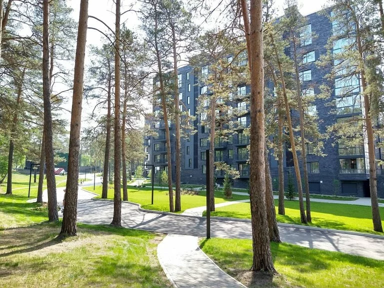 Зеленые лужайки