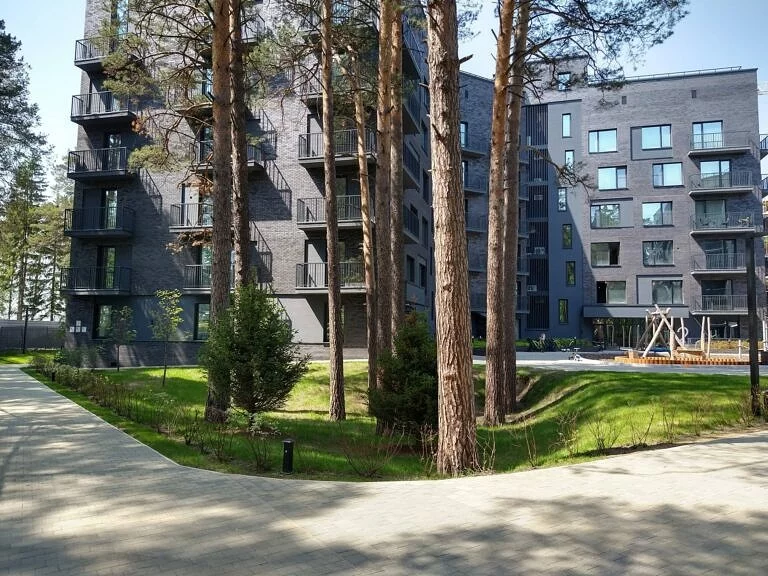 Природный ландшафт