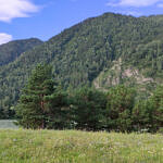 Участок у реки Катунь в Чемале, фото 1