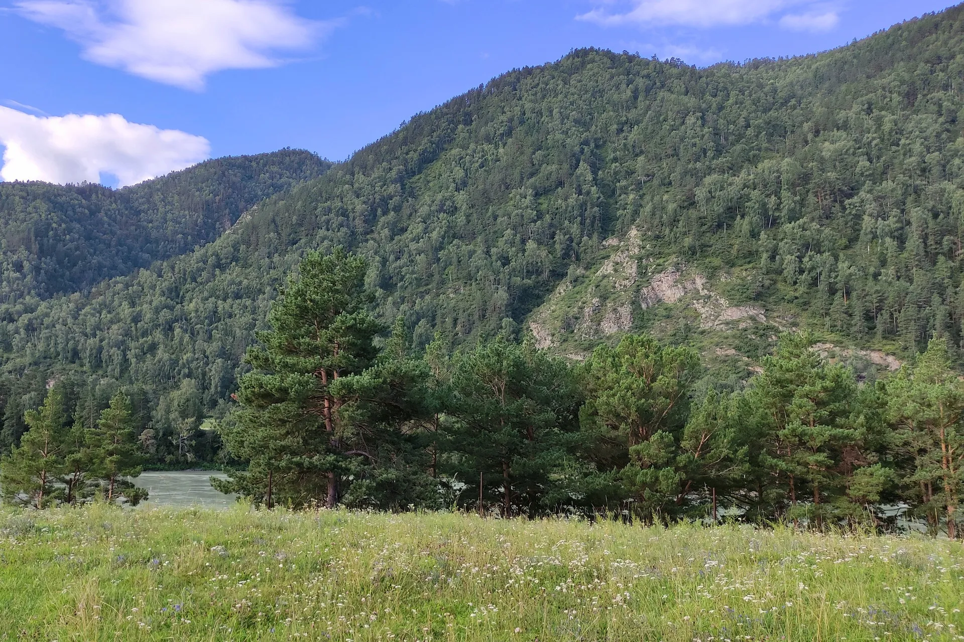 Участок у реки Катунь в Чемале, фото 1