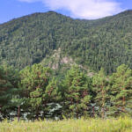 Участок у реки Катунь в Чемале, фото 2