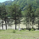 Участок у реки Катунь в Чемале, фото 5