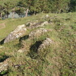 Участок у реки Катунь в Чемале, фото 12